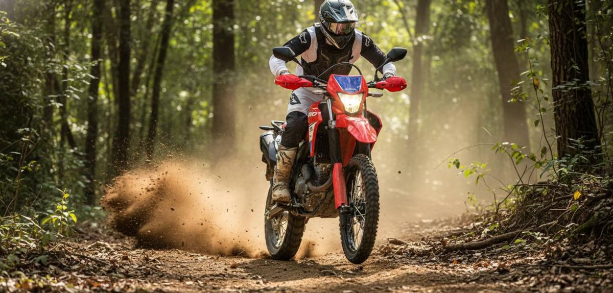 Honda Tornado 300 Special Edition chega em 2026
