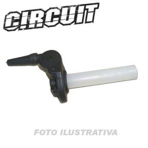Acelerador Rapido Circuit