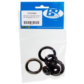 Kit Retentor de Motor BR Parts RMZ 250 10