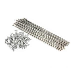 Raio Traseiro Cromado 4MM DDL CRF230