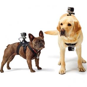Suporte Canino para Câmeras GoPro