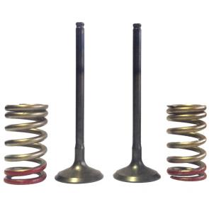 Válvula de Escape e Molas Pro-X YZF 450 / WRF 450 / GAS GAS EC450F KIT 2 PCS