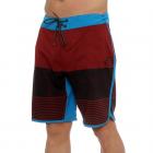 Bermuda Fox Cruise Control