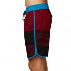 Bermuda Fox Cruise Control