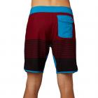 Bermuda Fox Cruise Control