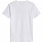 Camiseta Alpinestars Burnout