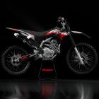 Kit Plástico Biker 4CTION CRF 250F