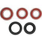 Kit Rolamento da Roda Traseira BR Parts Gas Gas EC 125/200/250/300 + MC 125/250