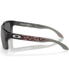 Óculos Oakley Holbrook Troy Lee Black Fade/Prizm Black
