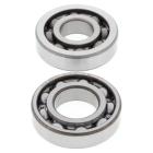 Rolamento de Virabrequim BR Parts YZF 250 01/20 + WRF 250 01/20 + YZFX 250 15/20