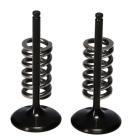 Válvula de Admissão e Molas Pro-X KTM EXC-F 250 14/16 + Husqvarna FE 250 14/16