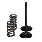 Válvula de Admissão e Molas Pro-X KTM EXC-F 250 14/16 + Husqvarna FE 250 14/16