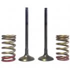 Válvula de Escape e Molas Pro-X KXF 250 04/16 + RMZ 250 04/06 - Kit 2 Peças