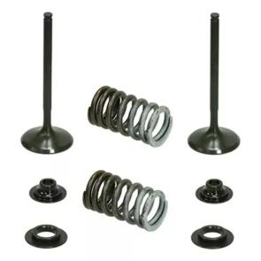 Válvula de Admissão e Molas Namura CRFR 250 10/15 Aço Kit 2 Peças