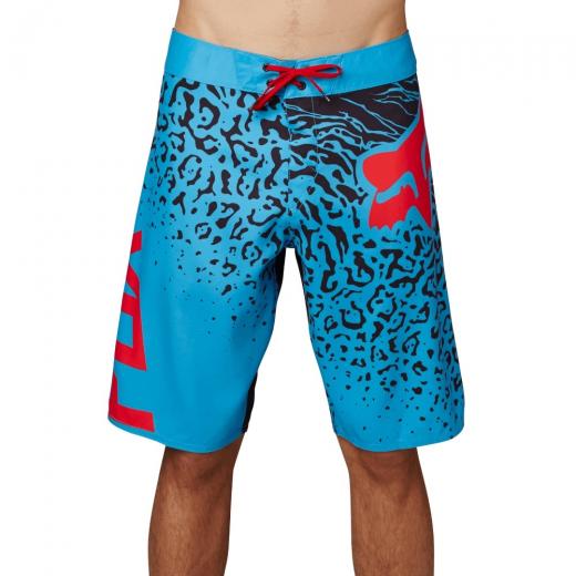 Bermuda Fox Cauz