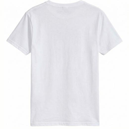 Camiseta Alpinestars Burnout