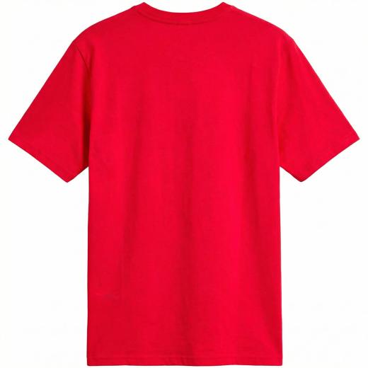 Camiseta Alpinestars Plate