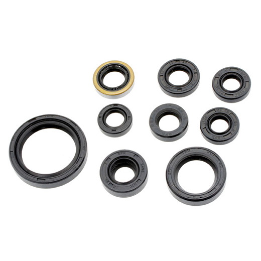Kit Retentor de Motor BR Parts KDX 200/220