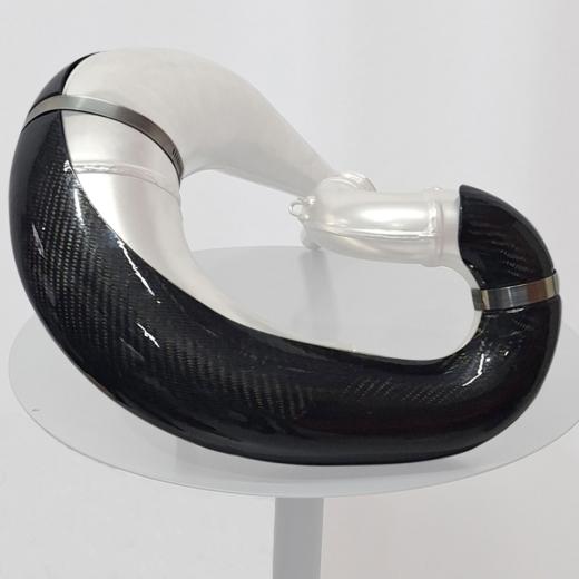 Protetor de Curva Carbono Start Beta RR 2T 250/300 20/25