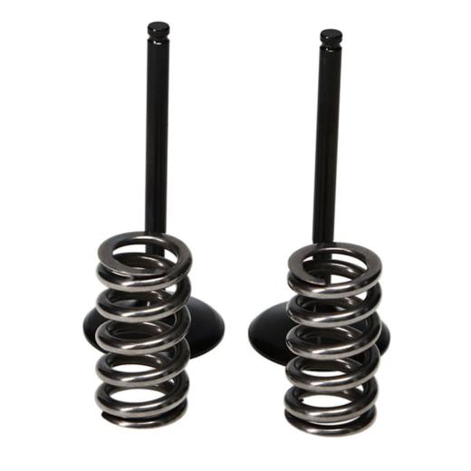 Válvula de Admissão e Molas Pro-X CRF 250R 08/09