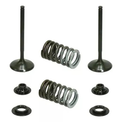 Válvula de Admissão e Molas Namura CRF 250R 10/15 Aço Kit 2 Peças