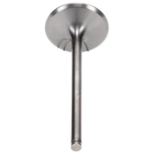 Válvula de Admissão Pro-X KXF 450 19/23 - Titânio